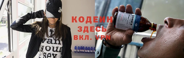 молекула духа Алзамай