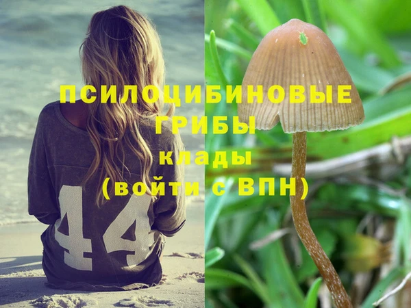 молекула духа Алзамай
