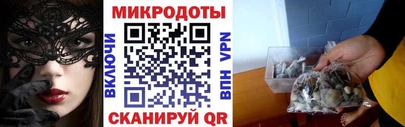 shop телеграм  Медынь  Галлюциногенные грибы Psilocybe 